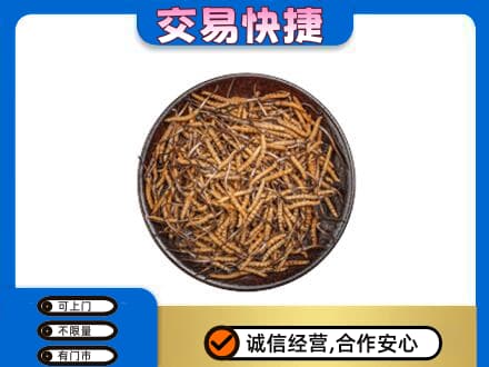 内江高价回收散虫草